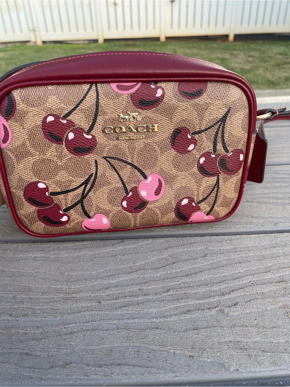 COACH Mini Jamie Cherry Print Signature Canvas Crossbody